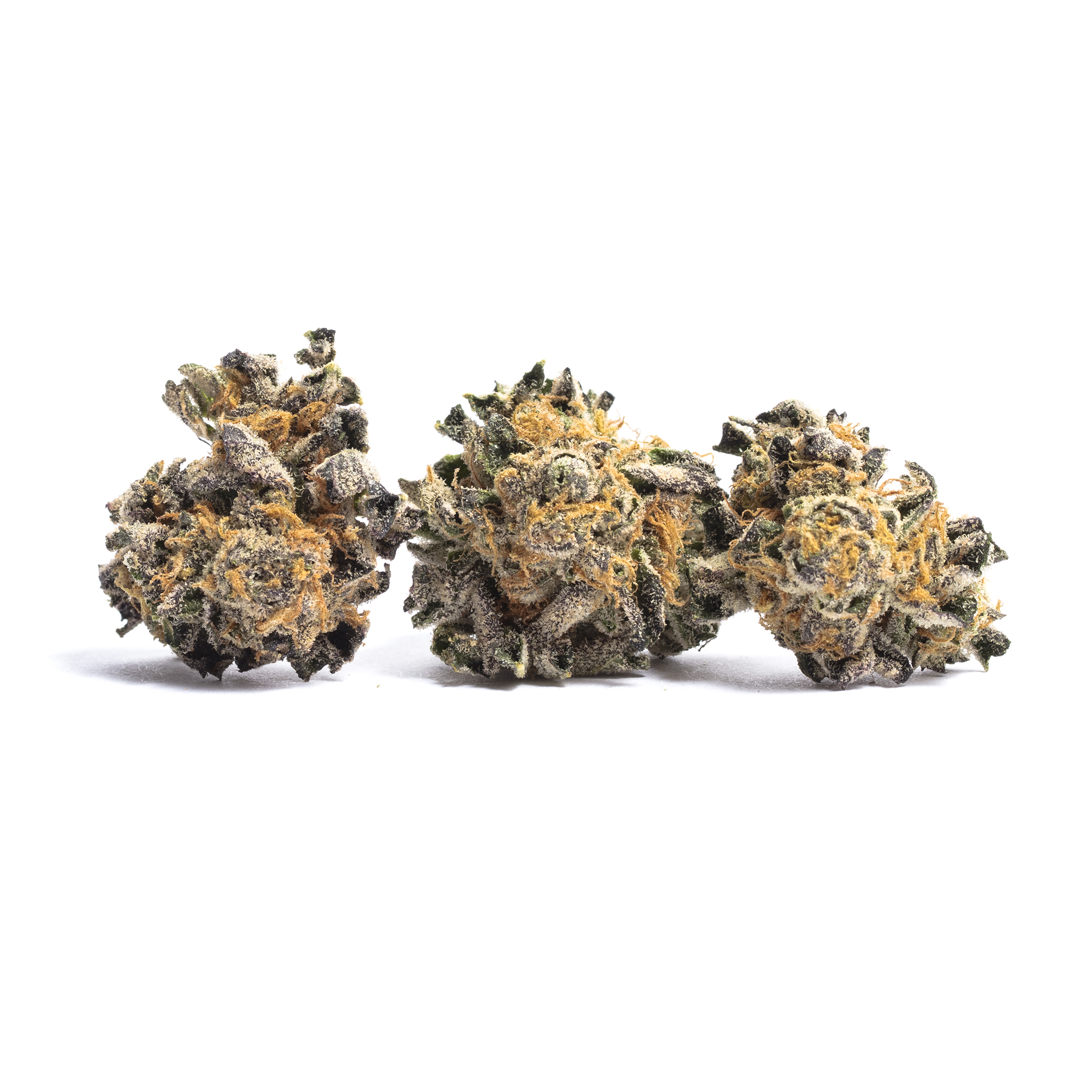 Foto de la variedad Animal Cookies